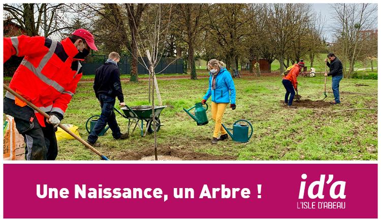 Une naissance : un arbre - Collectivité européenne d'Alsace
