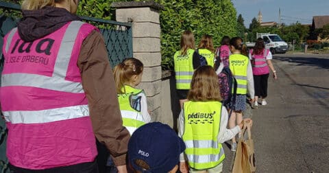 Pedibus